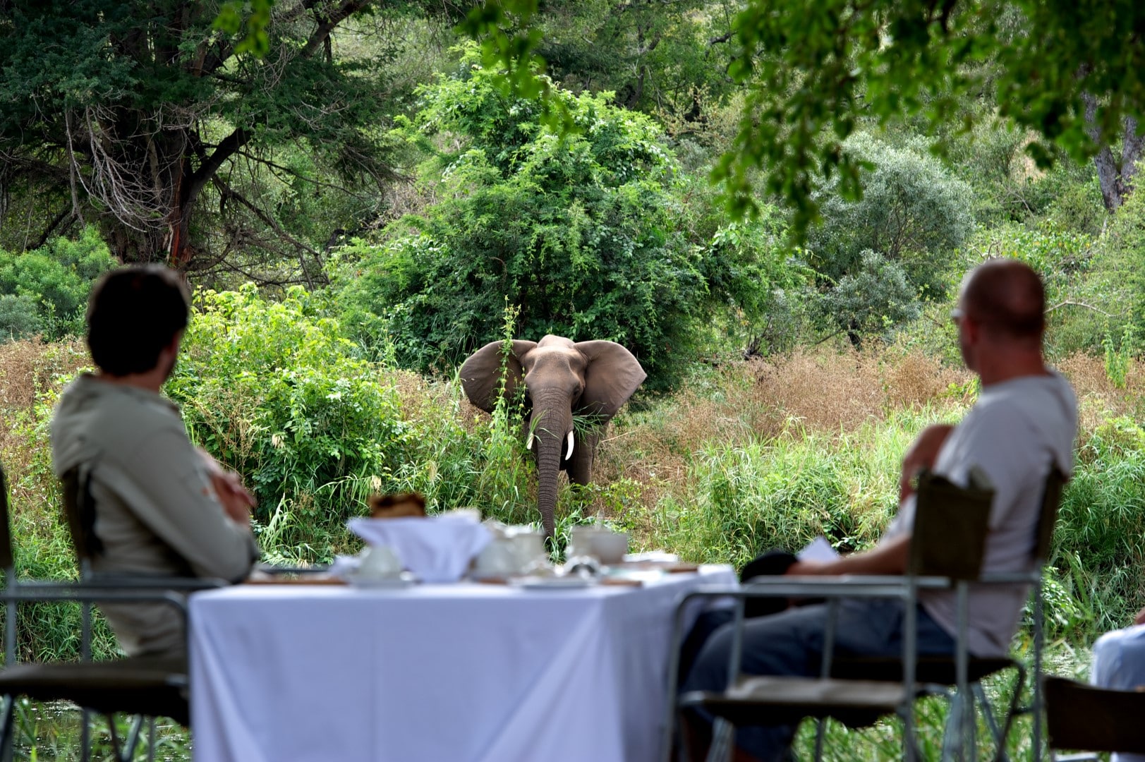 singita lebombo lunch large