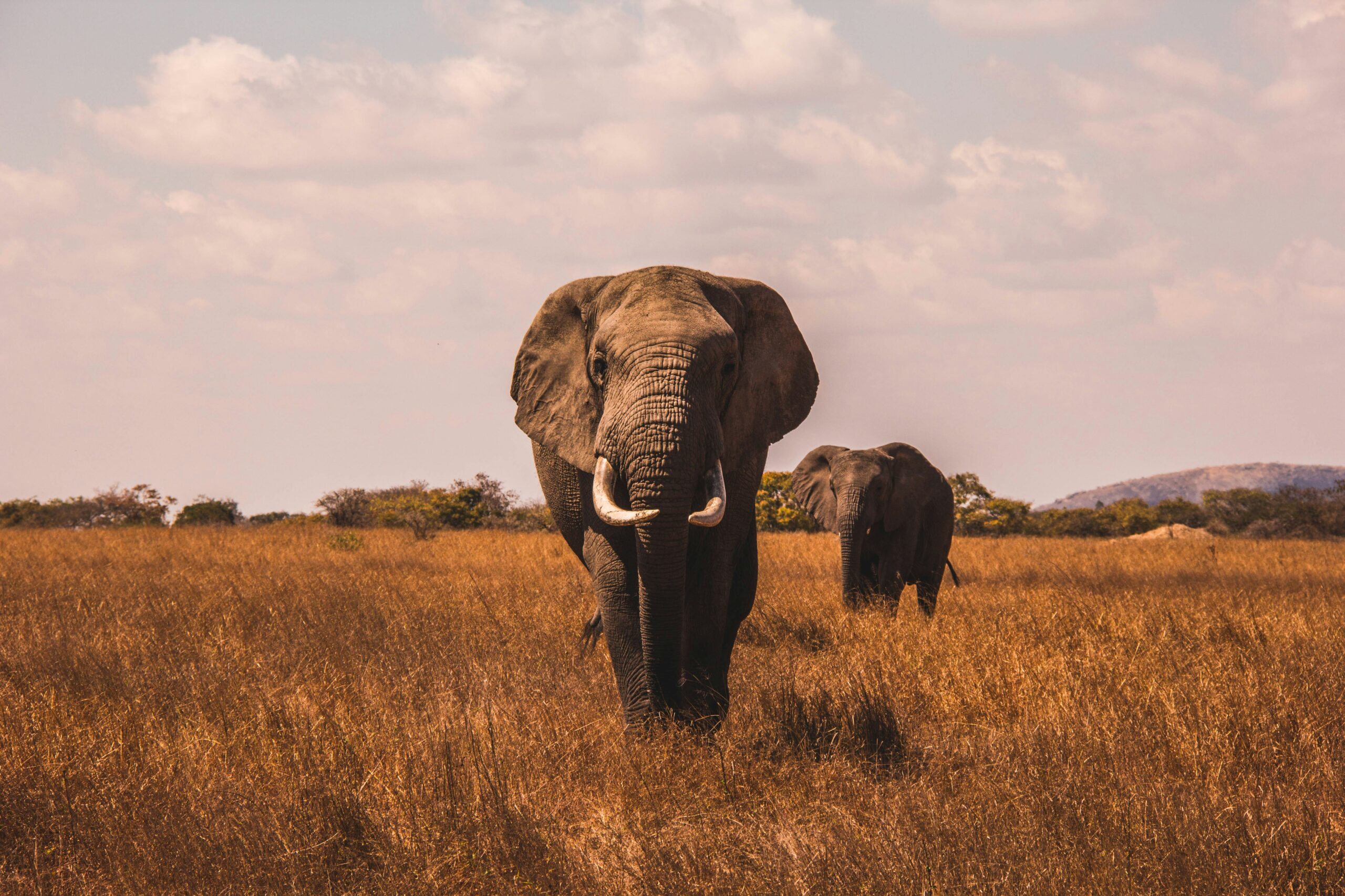 aj robsin buq1rzckyw4 unsplash