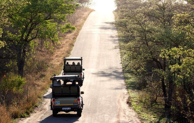 kruger wildlife safaris skukuza satatra desktop