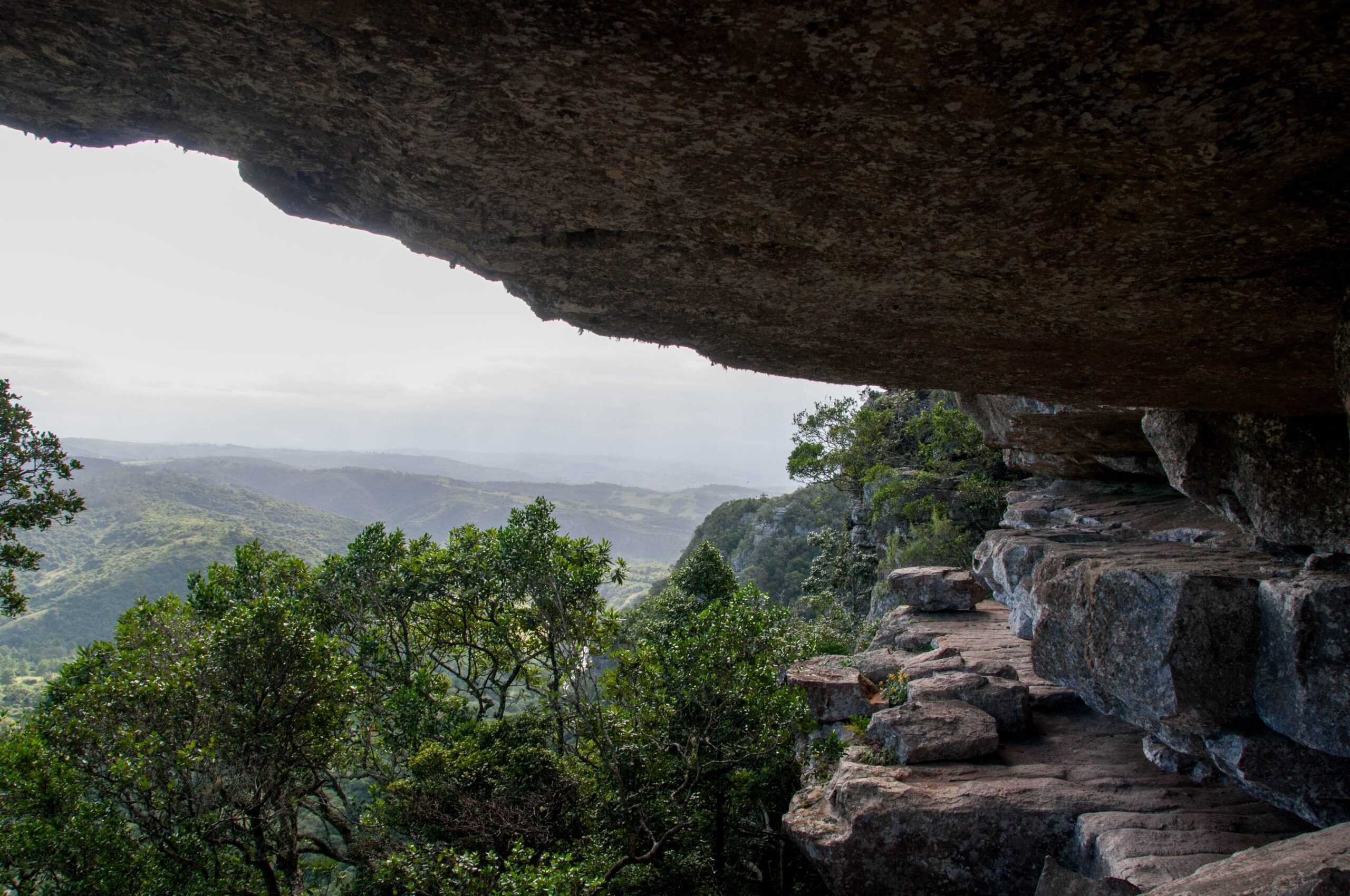 Explore the stunning rock formations and lush greenery in a South African landscape, captured in detail.