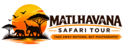 chatgpt image sep 22, 2026, 06 36 19 am
